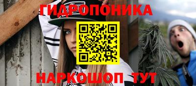 скорость Кандалакша