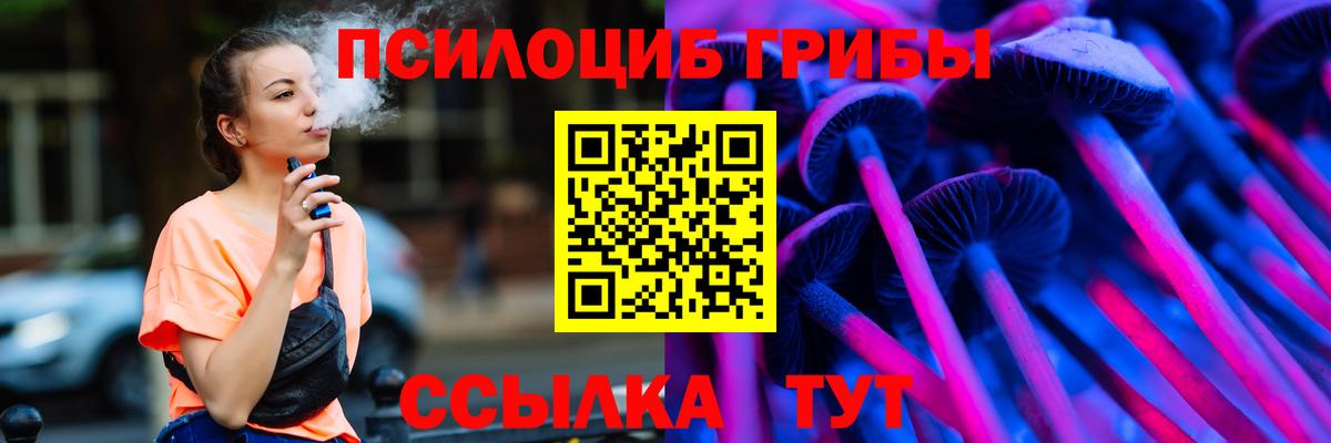 Кузнецк  закладки  Вход с VPN  Псилоцибиновые грибы Psilocybine cubensis 